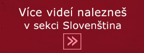 I'll Be Honest - Slovak